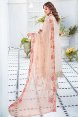 Exclusive Embroidered Party Wear Chiffon Dress H-2109-R