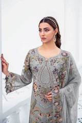 Exclusive Embroidered Party Wear Chiffon Dress H-2106-R