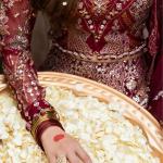 SF01 GULRUKH Stitched Shagna Festive Formals